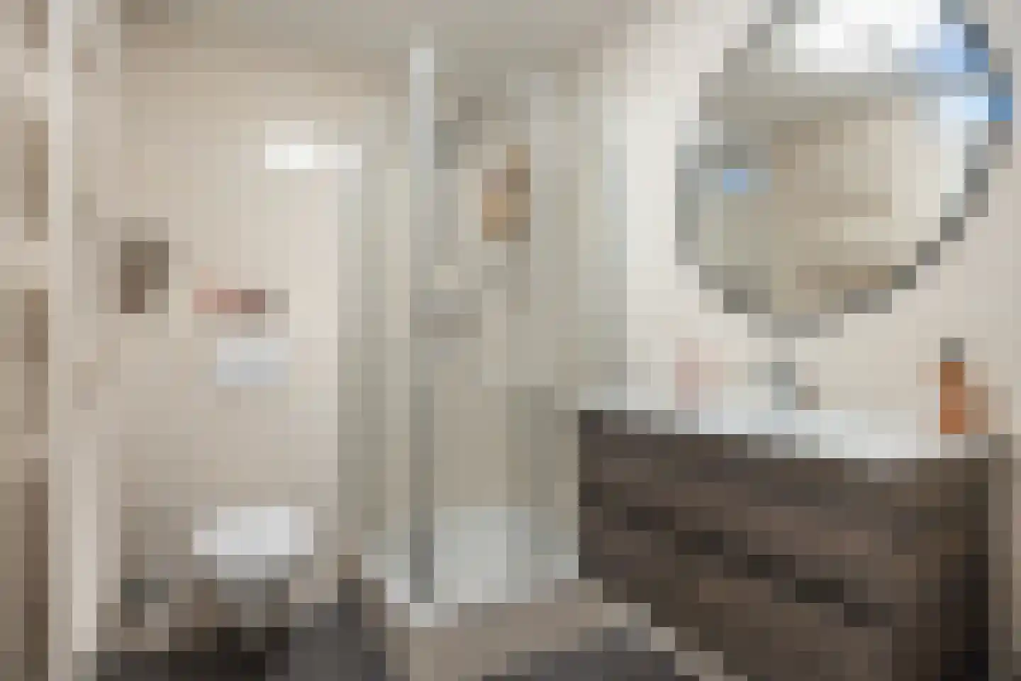 B.H. Broekemastraat 6 Winsum thumbnail 8
