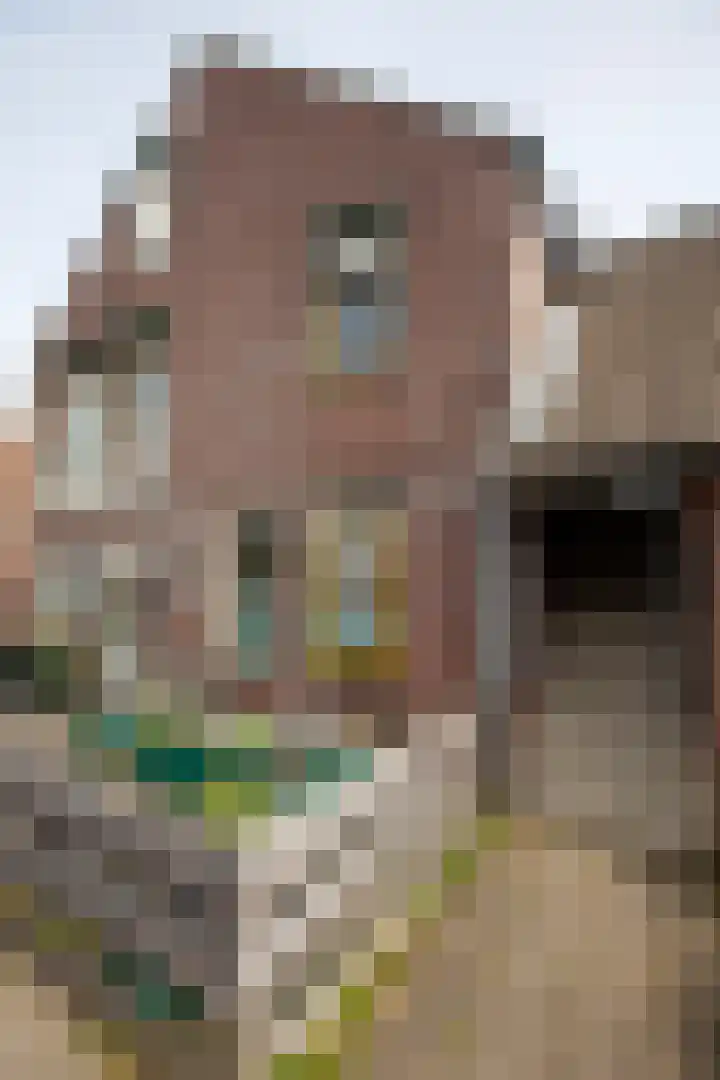 B.H. Heldtstraat 2 d Winterswijk thumbnail 6