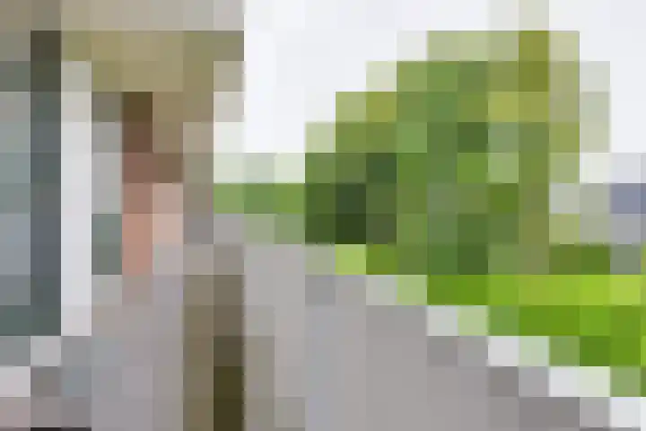 B.H. Heldtstraat 34 Winterswijk thumbnail 26