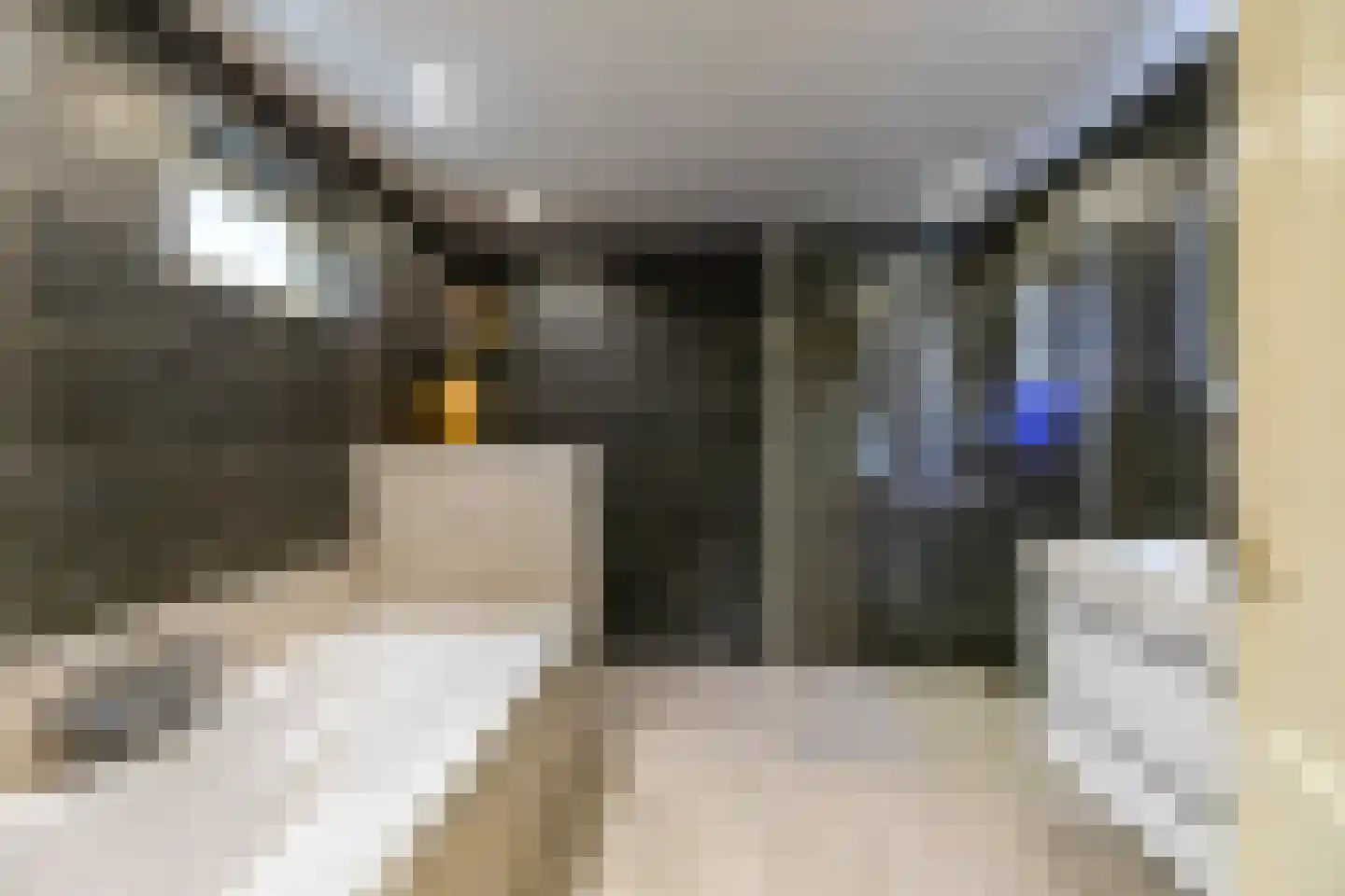 B. Kuiperweg 16 Ten Post thumbnail 5