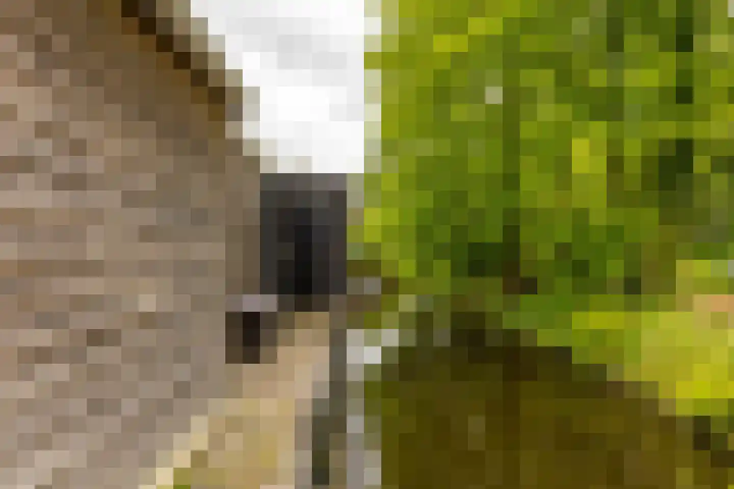 B. Kuiperweg 16 Ten Post thumbnail 59