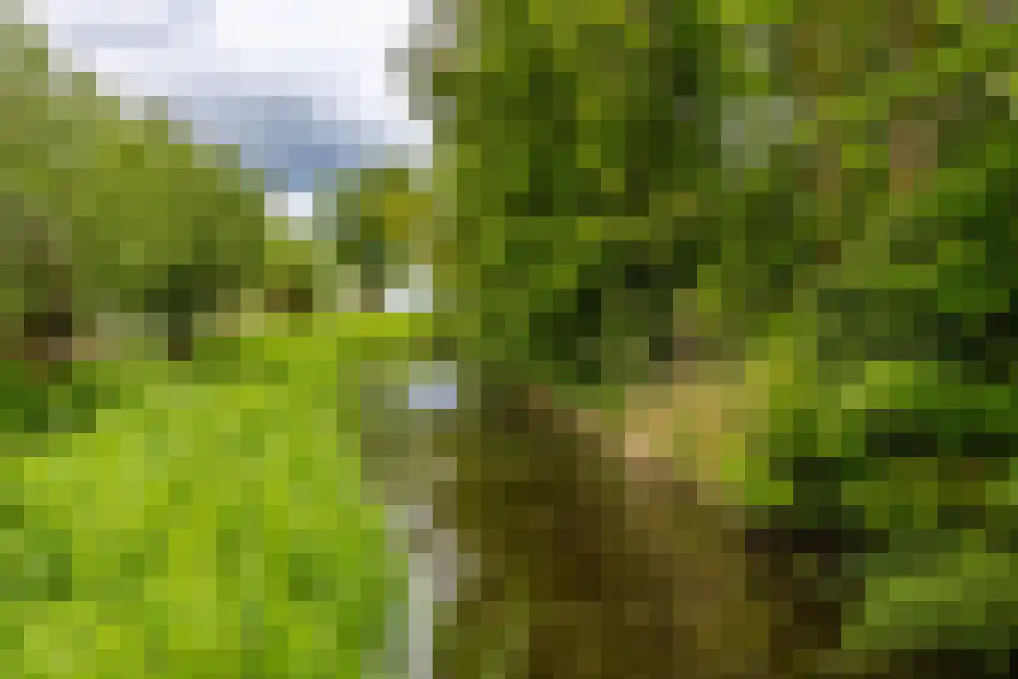 B. Kuiperweg 16 Ten Post thumbnail 6