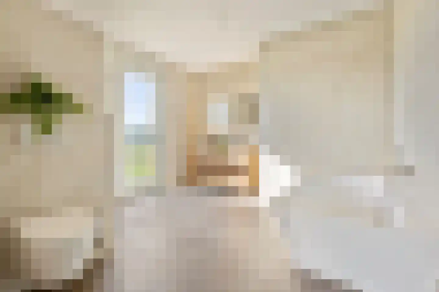B.L. Tijdensweg 10 a Bellingwolde thumbnail 24