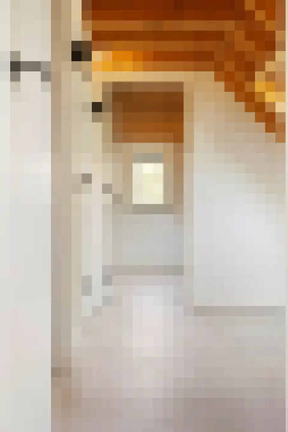 B.L. Tijdensweg 10 a Bellingwolde thumbnail 35
