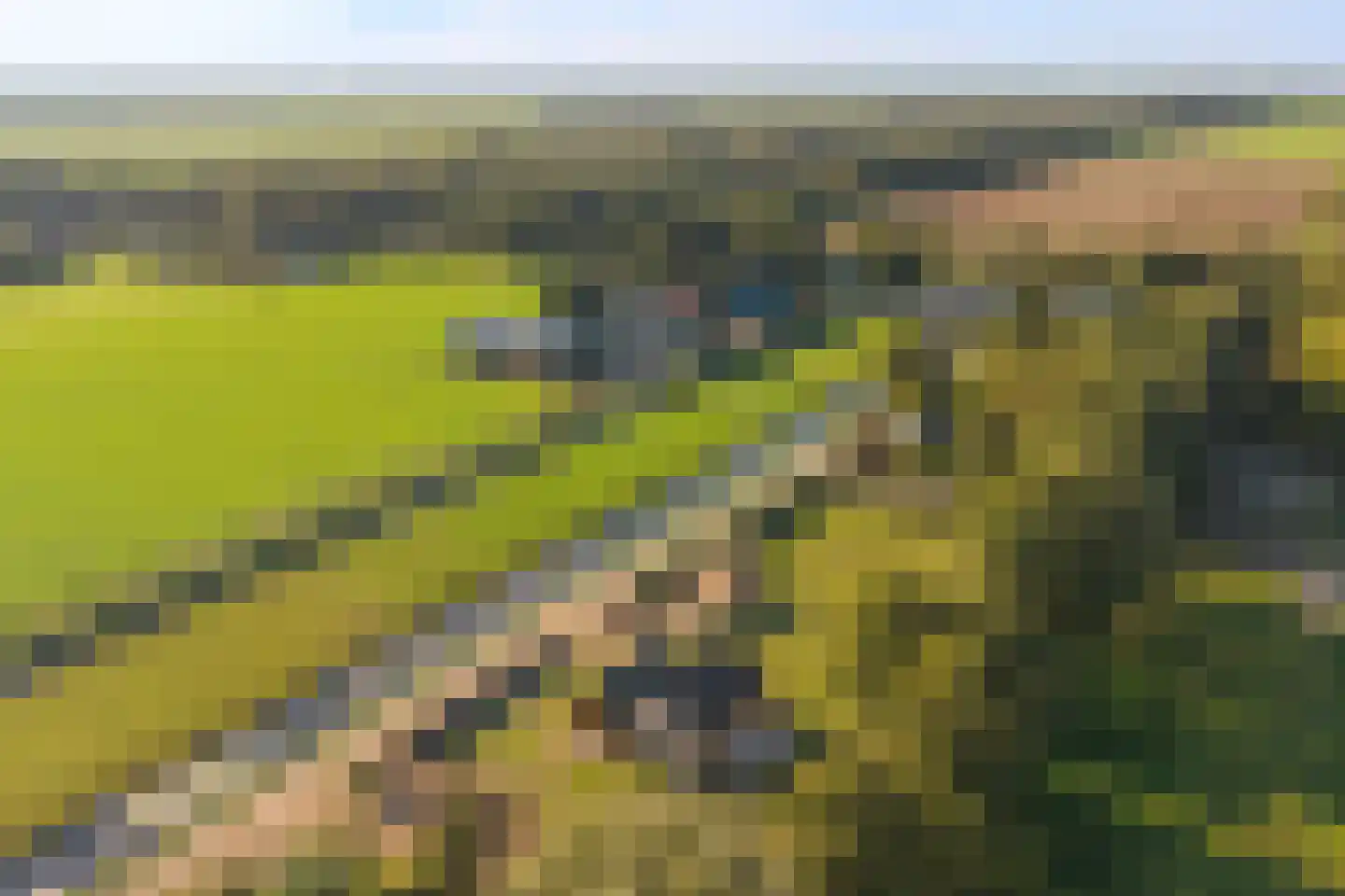 B.L. Tijdensweg 10 a Bellingwolde thumbnail 46
