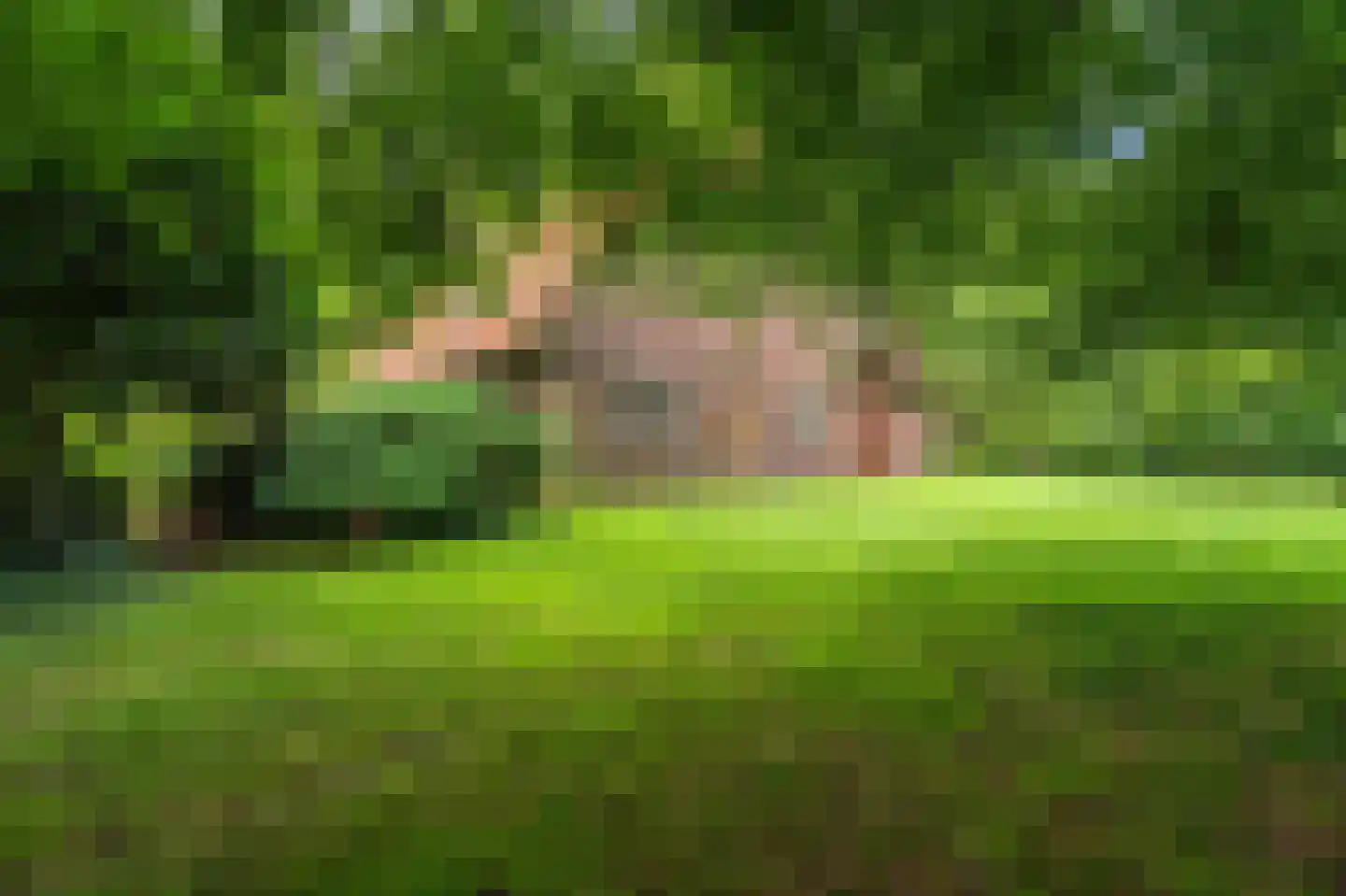 B.L. Tijdensweg 24 Vriescheloo thumbnail 10