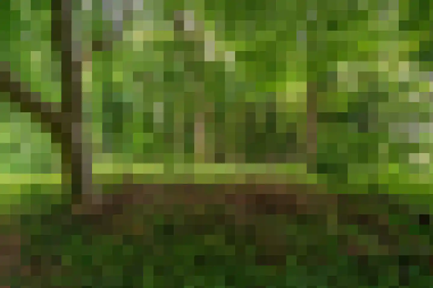 B.L. Tijdensweg 24 Vriescheloo thumbnail 11