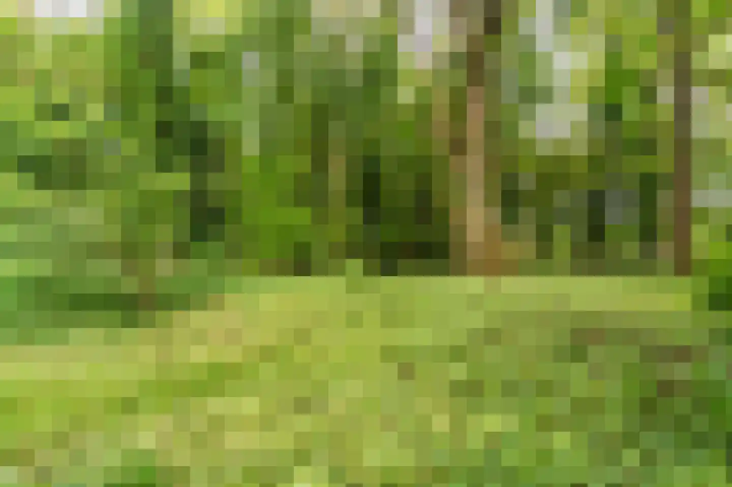 B.L. Tijdensweg 24 Vriescheloo thumbnail 12