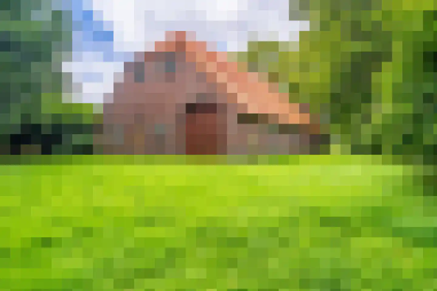 B.L. Tijdensweg 24 Vriescheloo thumbnail 13