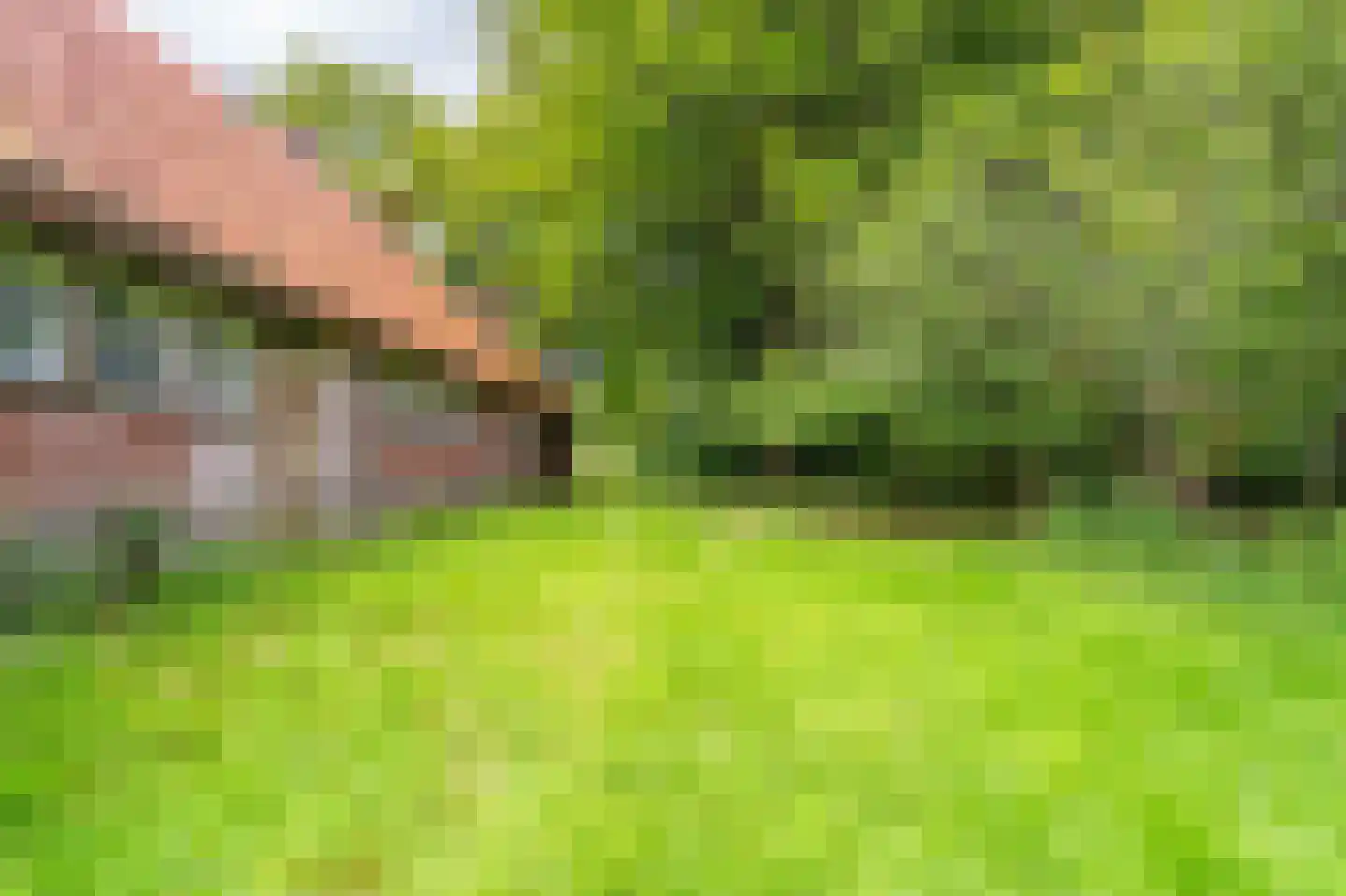 B.L. Tijdensweg 24 Vriescheloo thumbnail 14