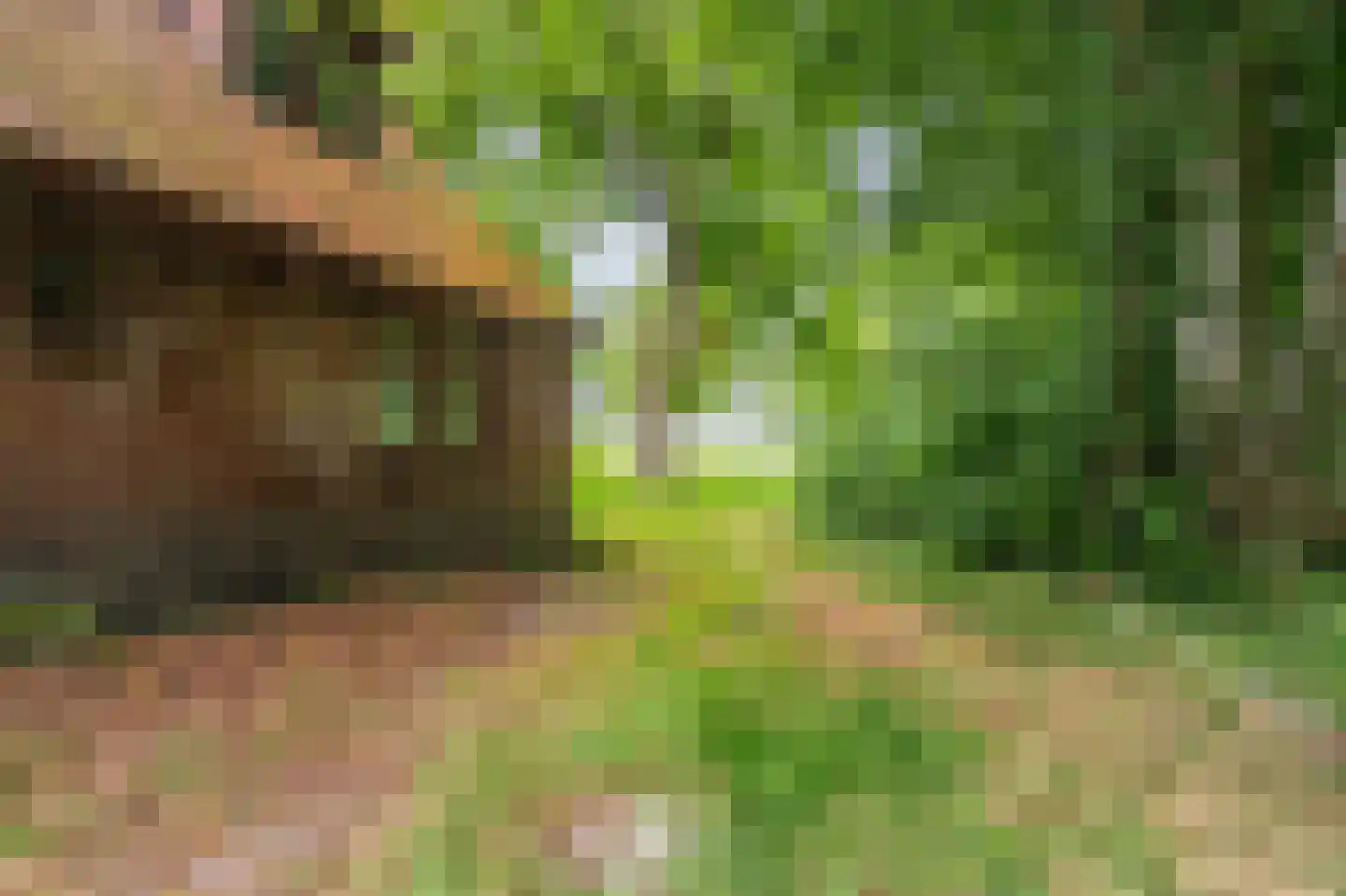 B.L. Tijdensweg 24 Vriescheloo thumbnail 15