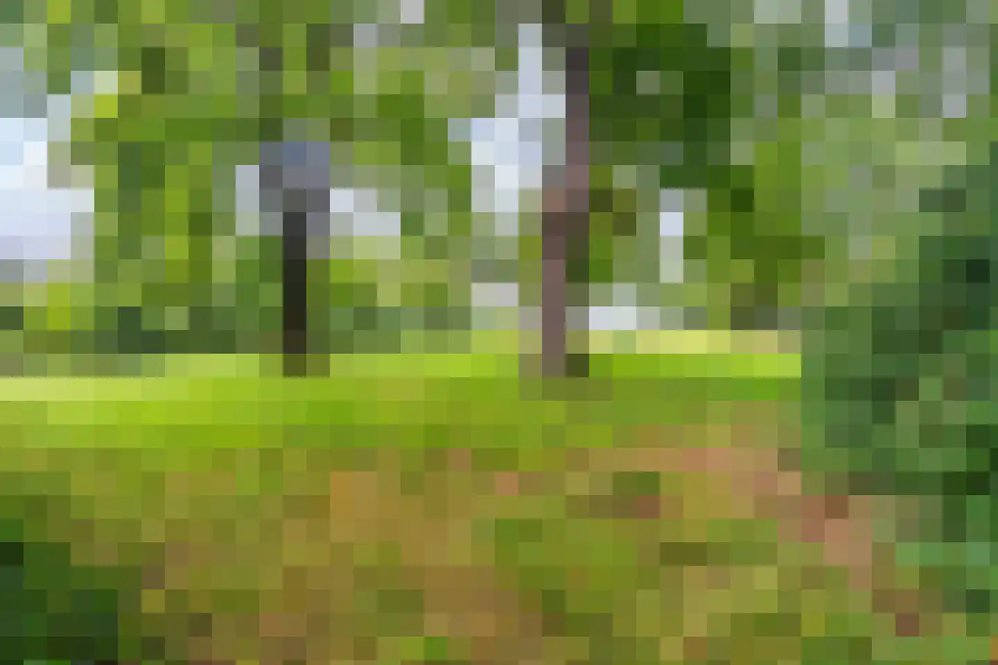 B.L. Tijdensweg 24 Vriescheloo thumbnail 16