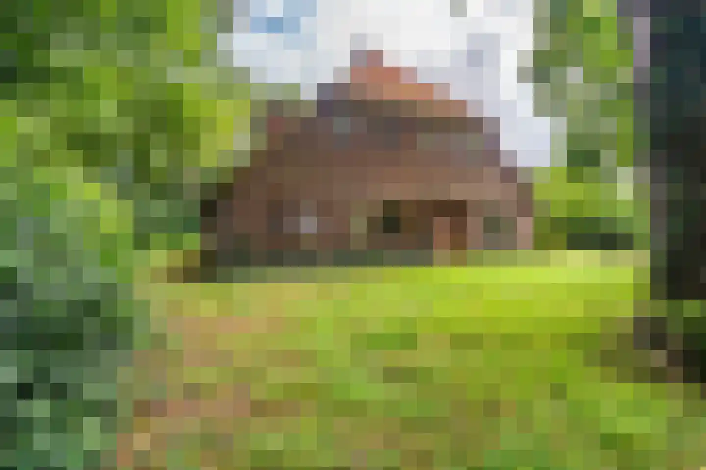 B.L. Tijdensweg 24 Vriescheloo thumbnail 17