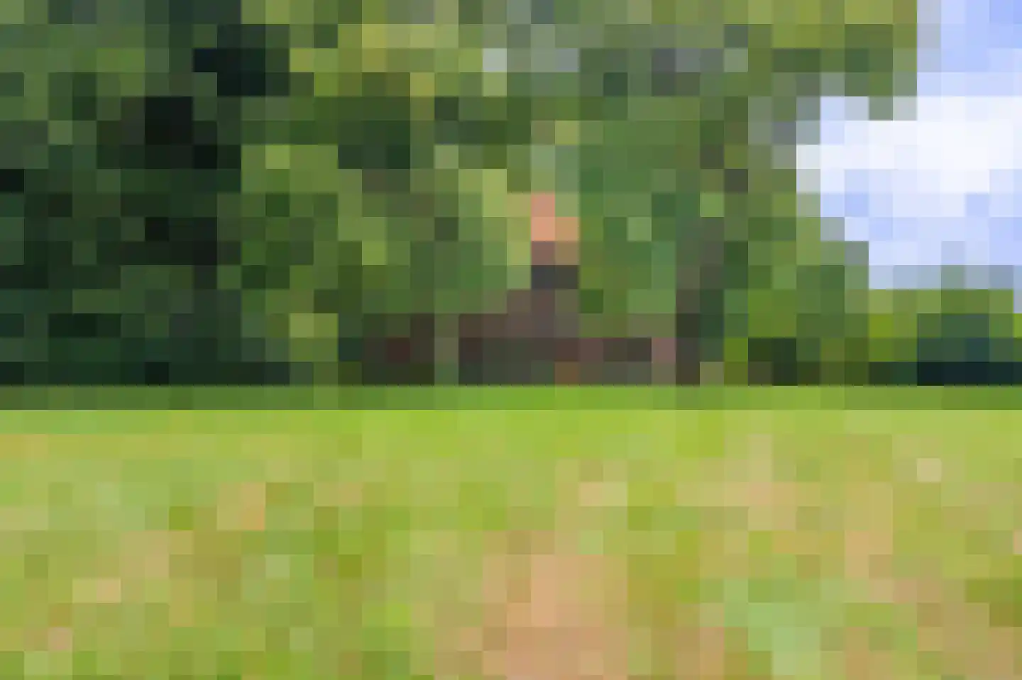 B.L. Tijdensweg 24 Vriescheloo thumbnail 18