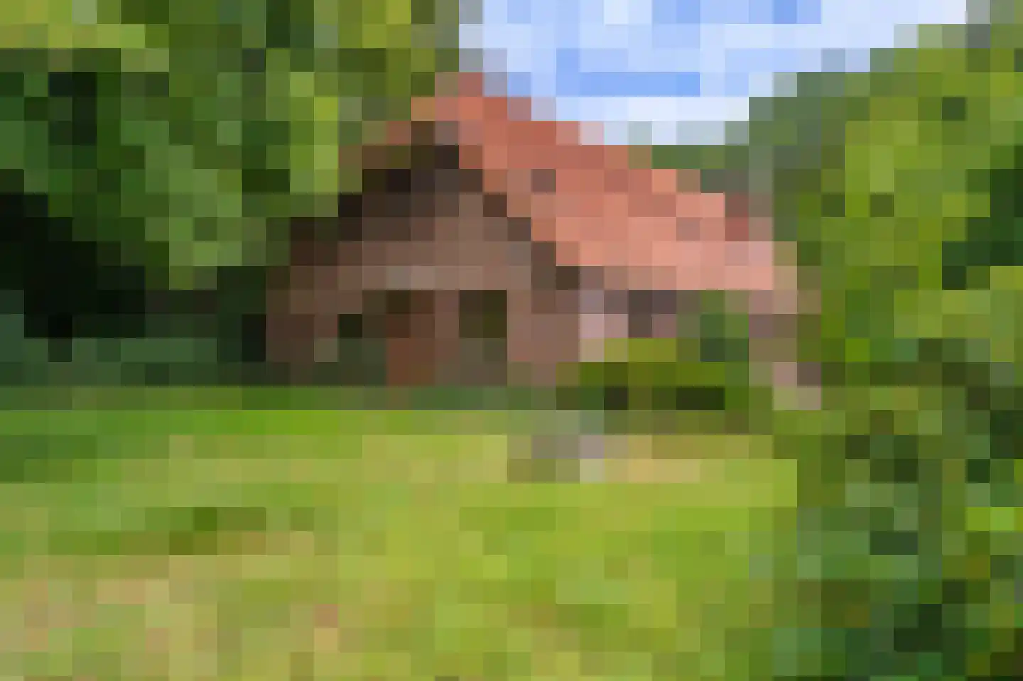 B.L. Tijdensweg 24 Vriescheloo thumbnail 19