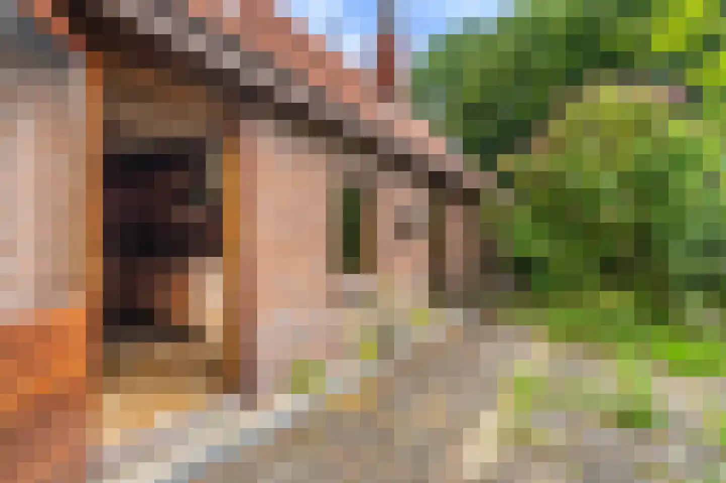 B.L. Tijdensweg 24 Vriescheloo thumbnail 20