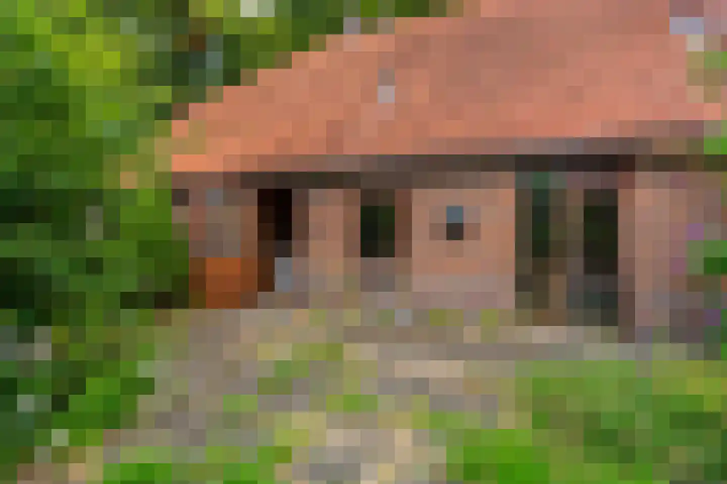 B.L. Tijdensweg 24 Vriescheloo thumbnail 21
