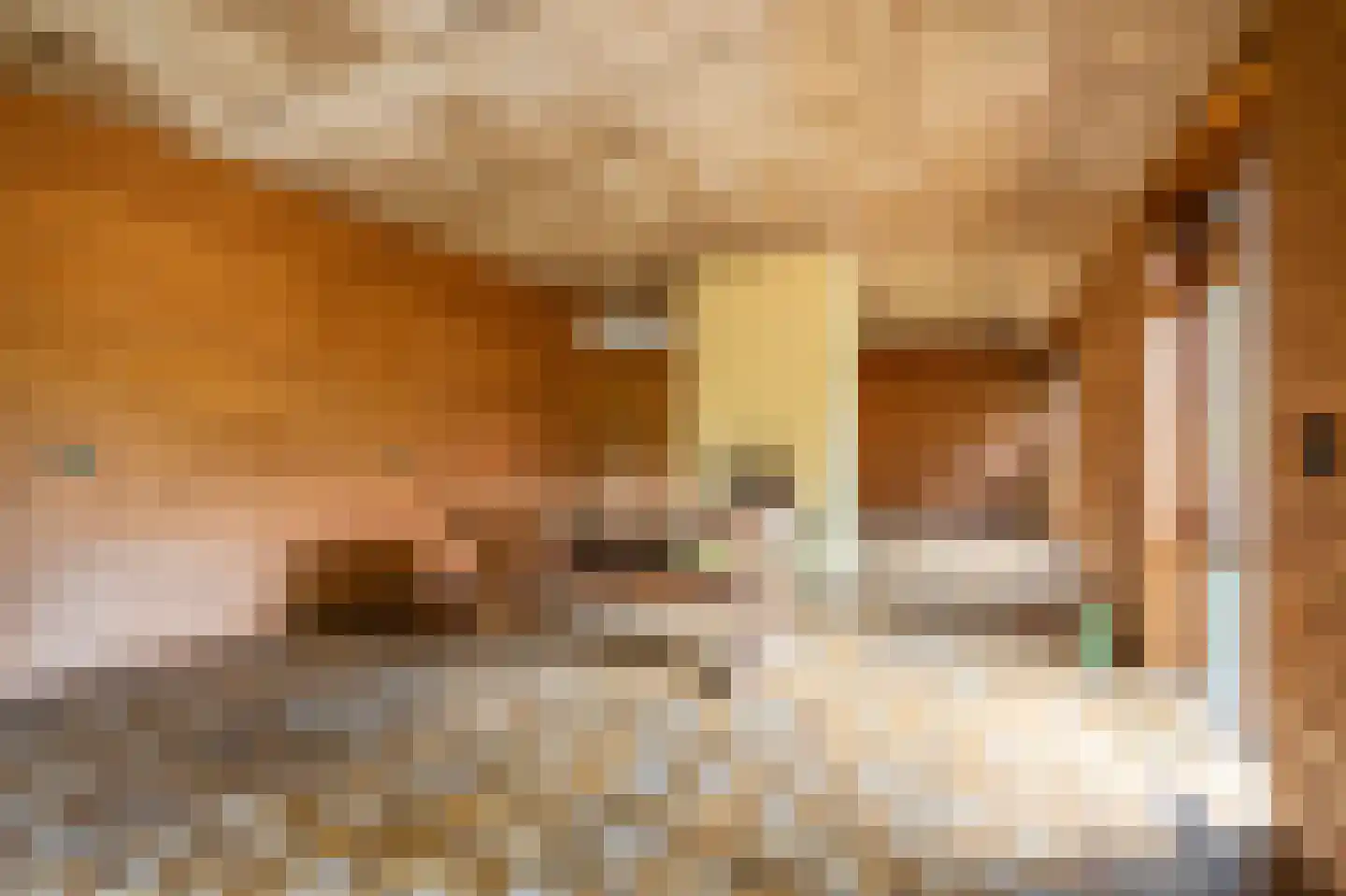 B.L. Tijdensweg 24 Vriescheloo thumbnail 24