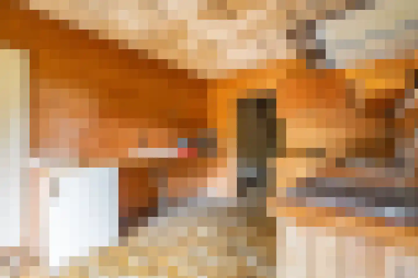 B.L. Tijdensweg 24 Vriescheloo thumbnail 25