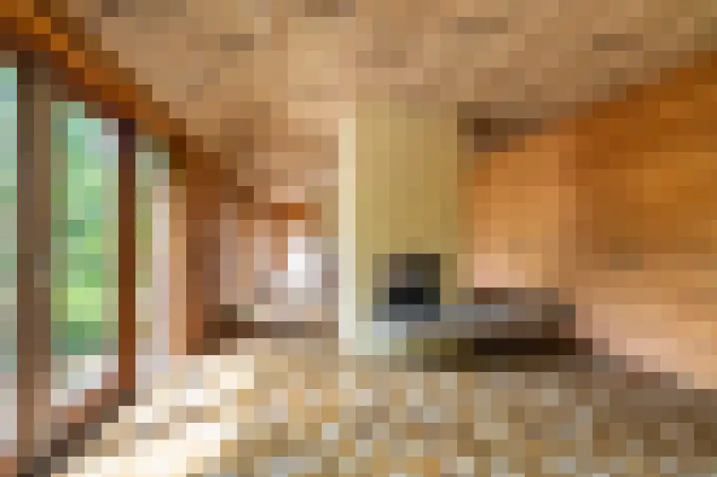 B.L. Tijdensweg 24 Vriescheloo thumbnail 26
