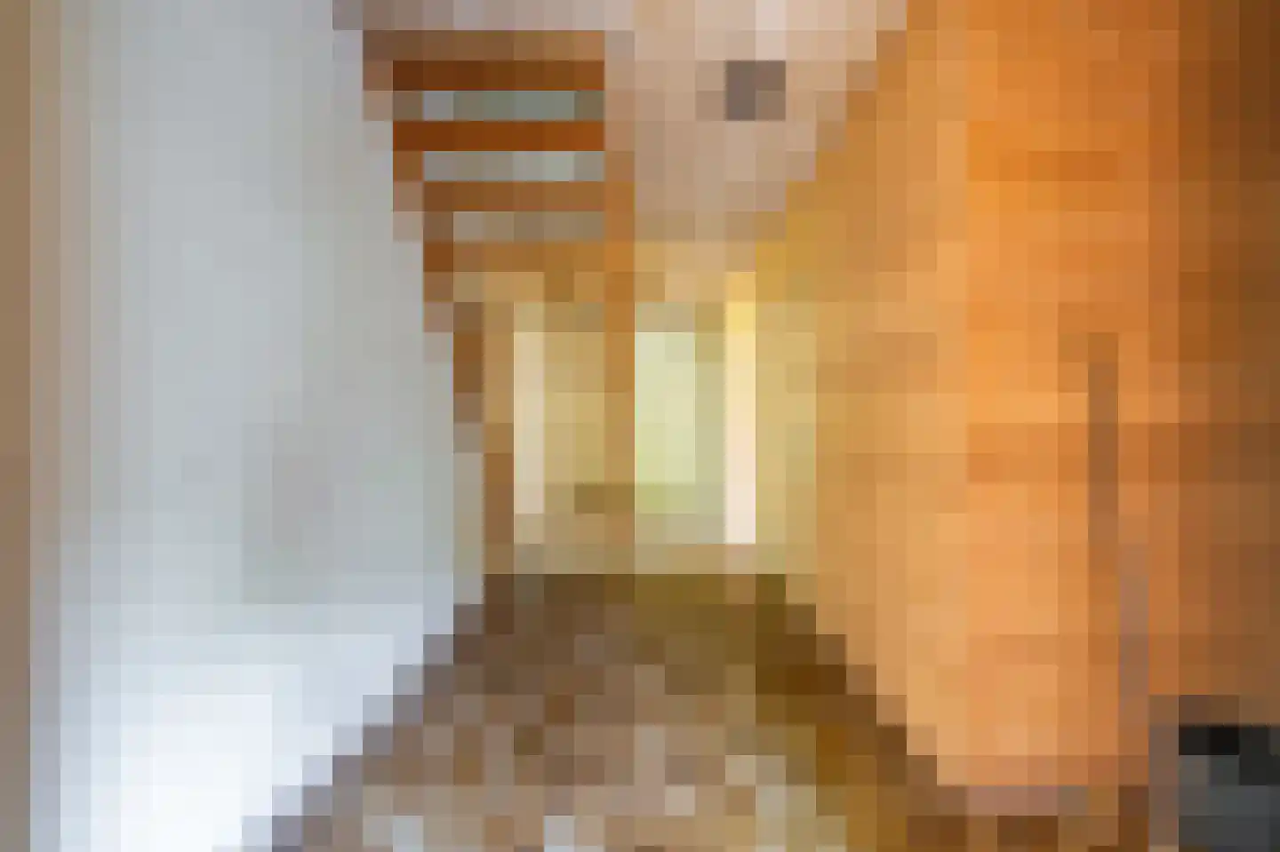 B.L. Tijdensweg 24 Vriescheloo thumbnail 27