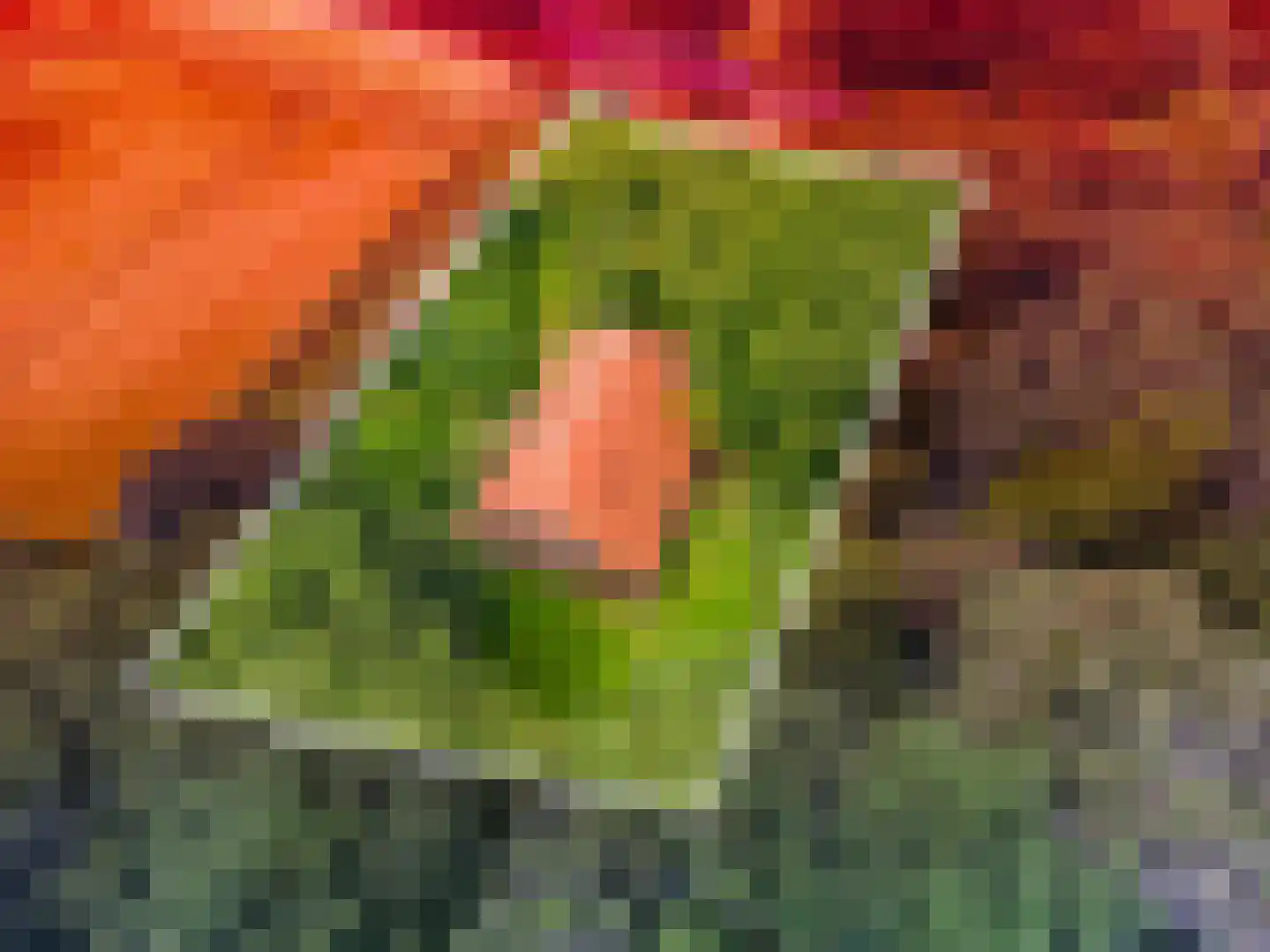 B.L. Tijdensweg 24 Vriescheloo thumbnail 4