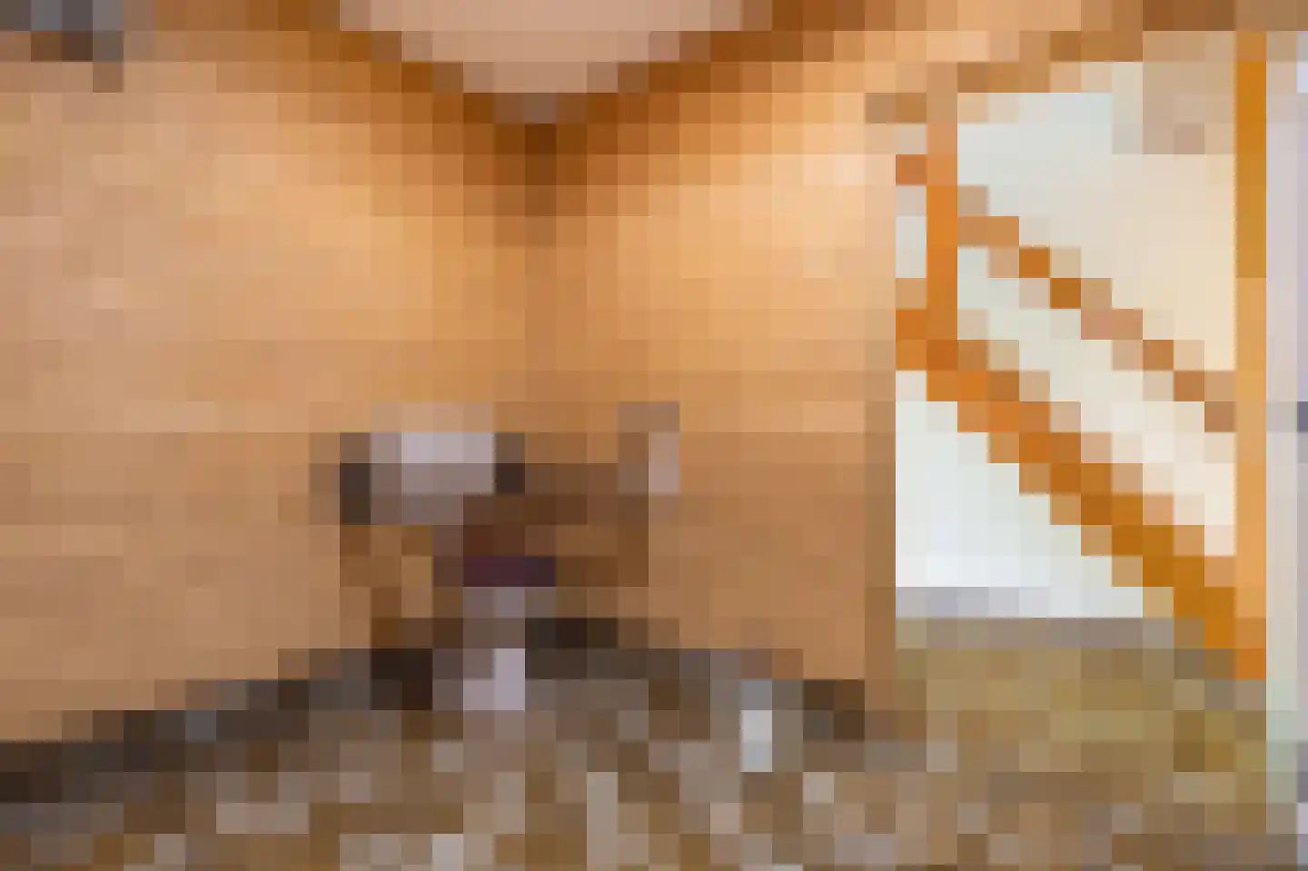B.L. Tijdensweg 24 Vriescheloo thumbnail 40