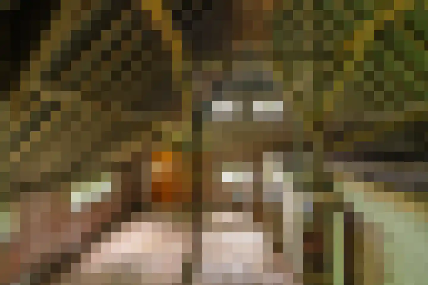 B.L. Tijdensweg 24 Vriescheloo thumbnail 46