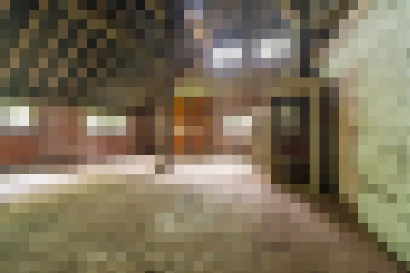 B.L. Tijdensweg 24 Vriescheloo thumbnail 47