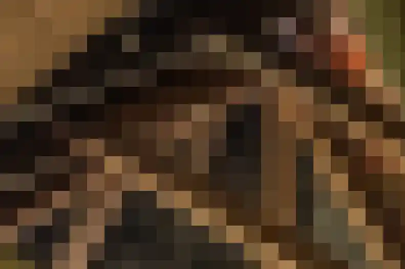 B.L. Tijdensweg 24 Vriescheloo thumbnail 49
