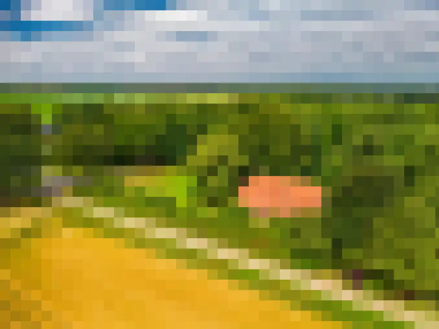 B.L. Tijdensweg 24 Vriescheloo thumbnail 5