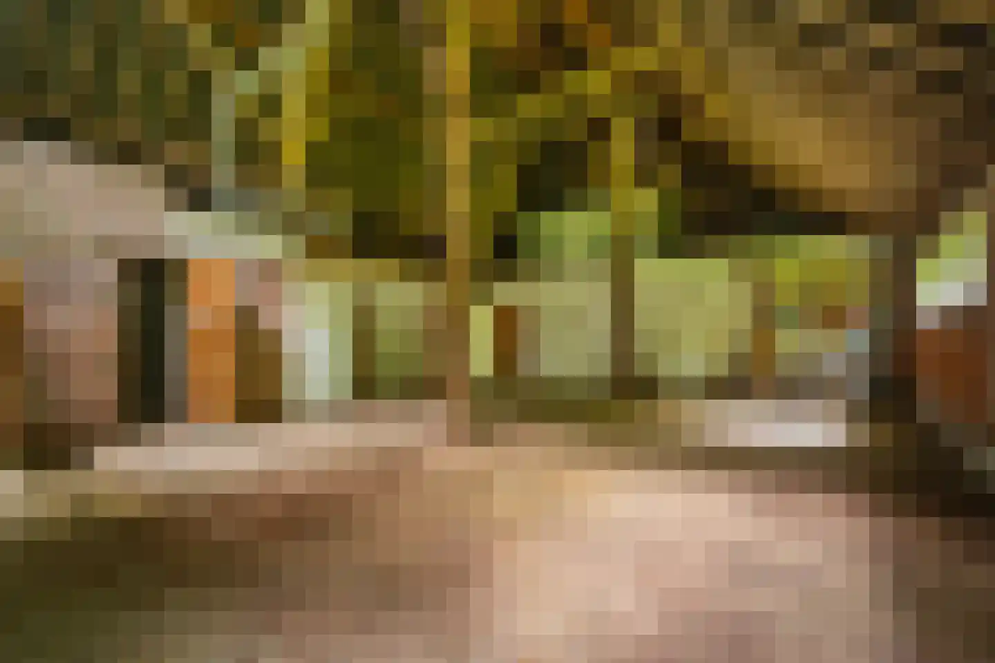B.L. Tijdensweg 24 Vriescheloo thumbnail 50