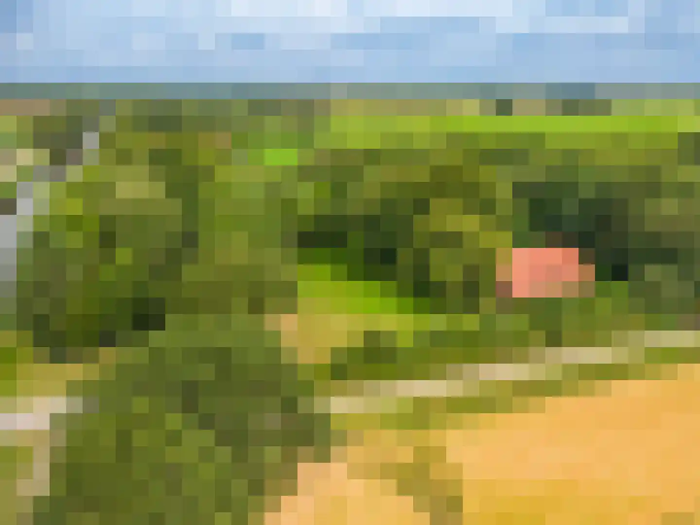B.L. Tijdensweg 24 Vriescheloo thumbnail 6