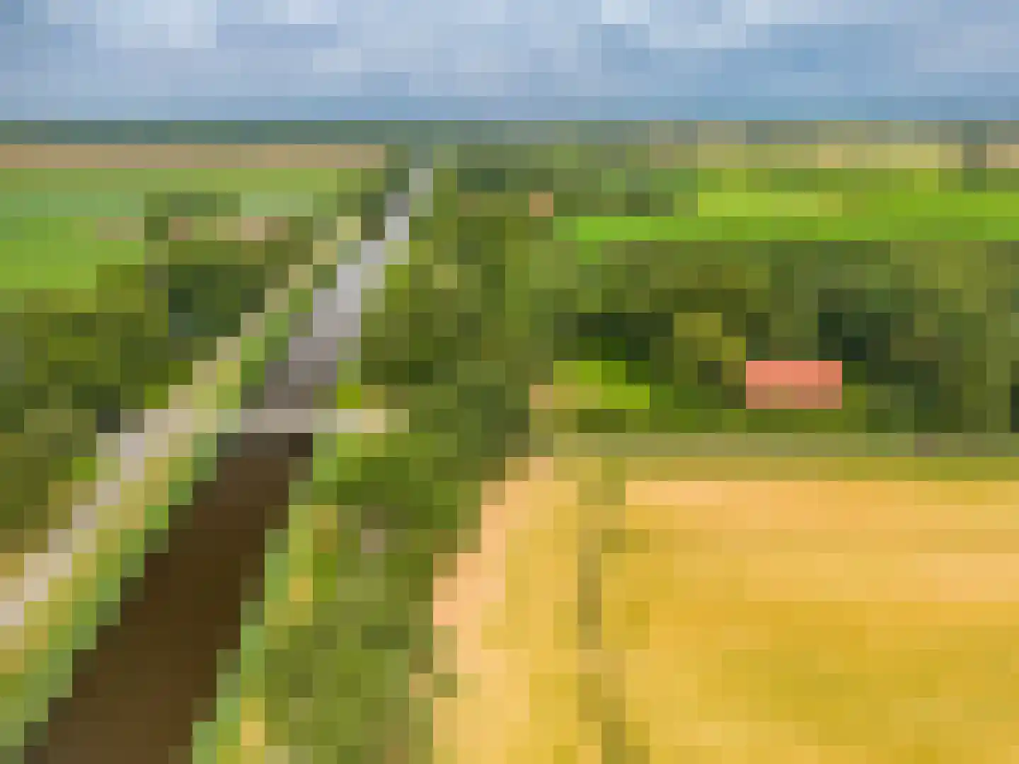B.L. Tijdensweg 24 Vriescheloo thumbnail 7