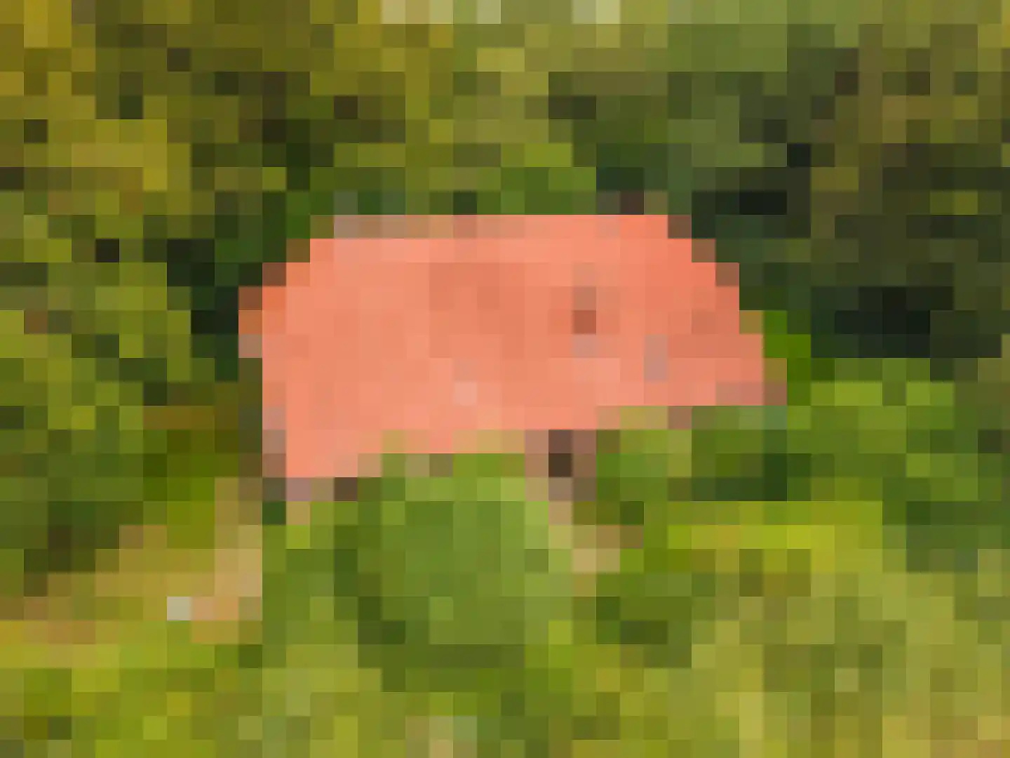 B.L. Tijdensweg 24 Vriescheloo thumbnail 8