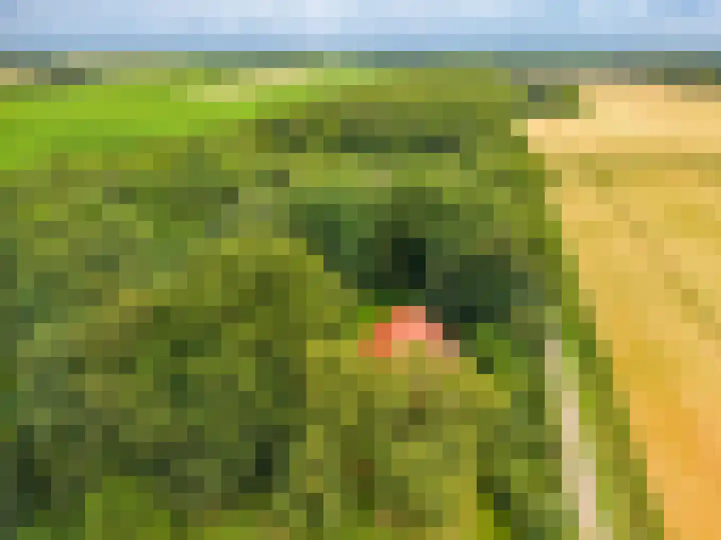 B.L. Tijdensweg 24 Vriescheloo thumbnail 9