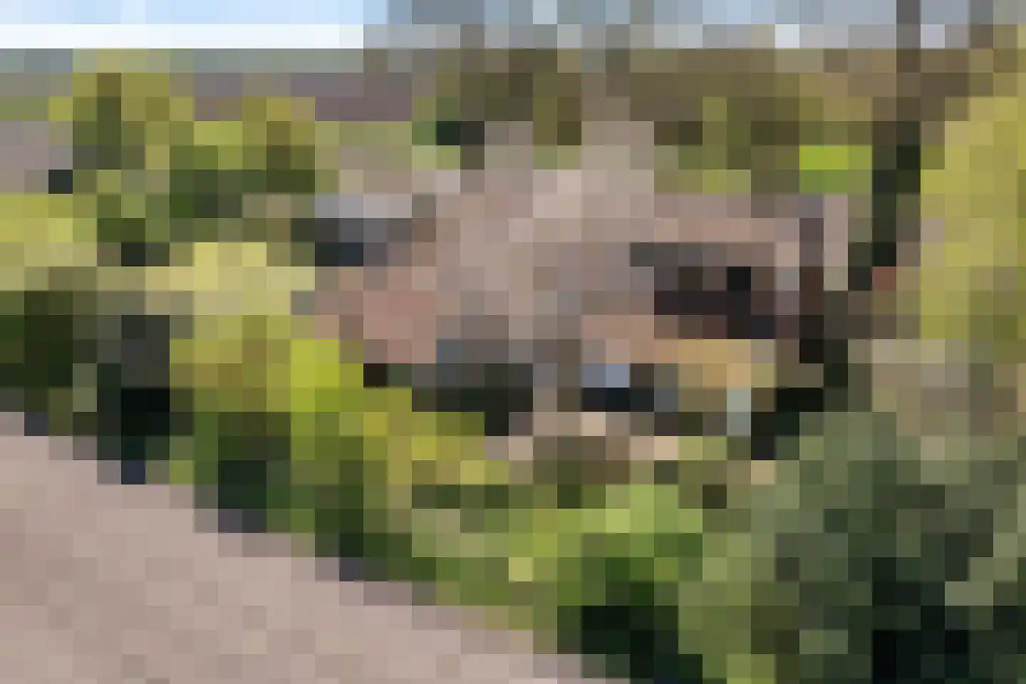 B.L. Tijdensweg 26 en Vriescheloo
