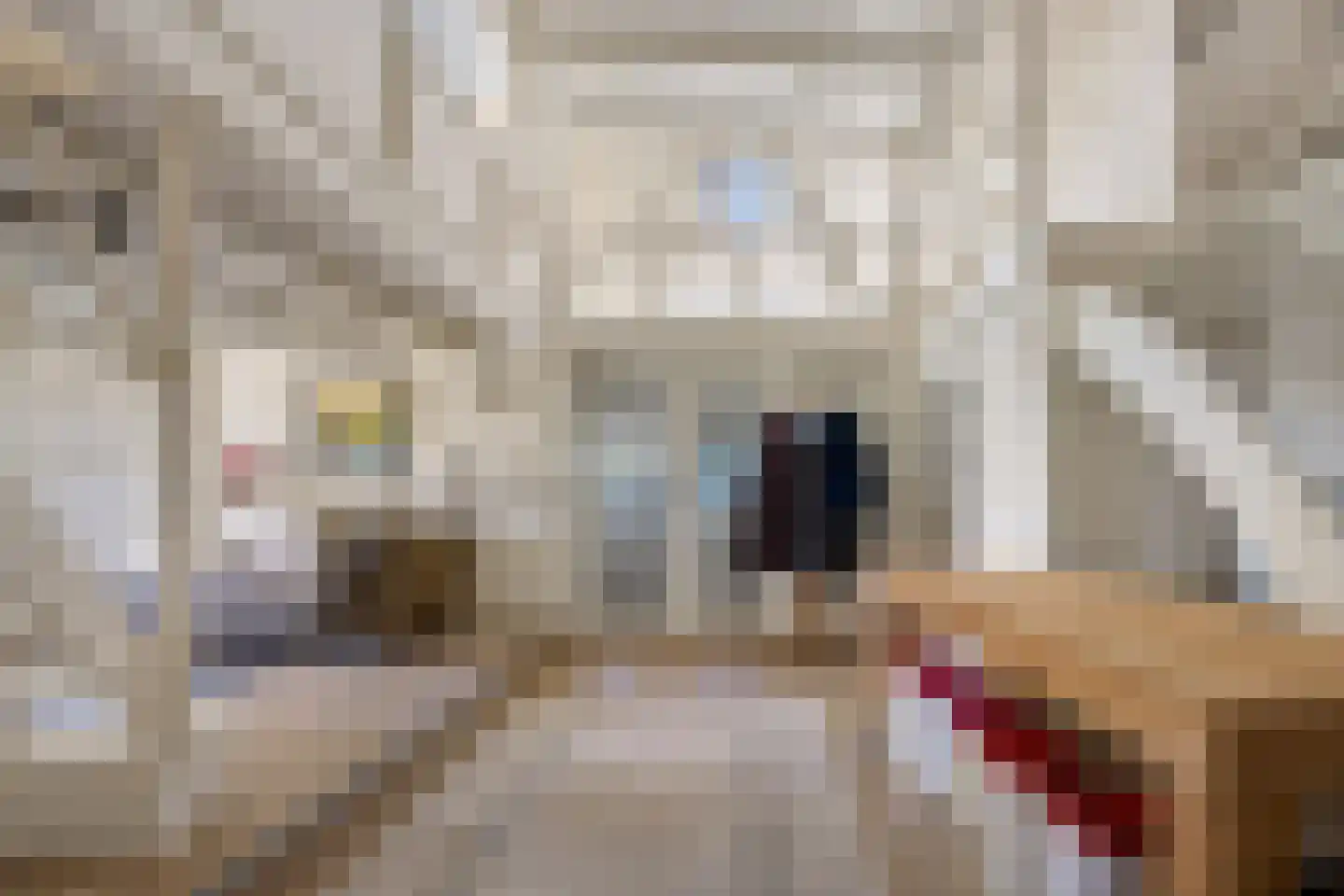 B.L. Tijdensweg 26 Vriescheloo thumbnail 10