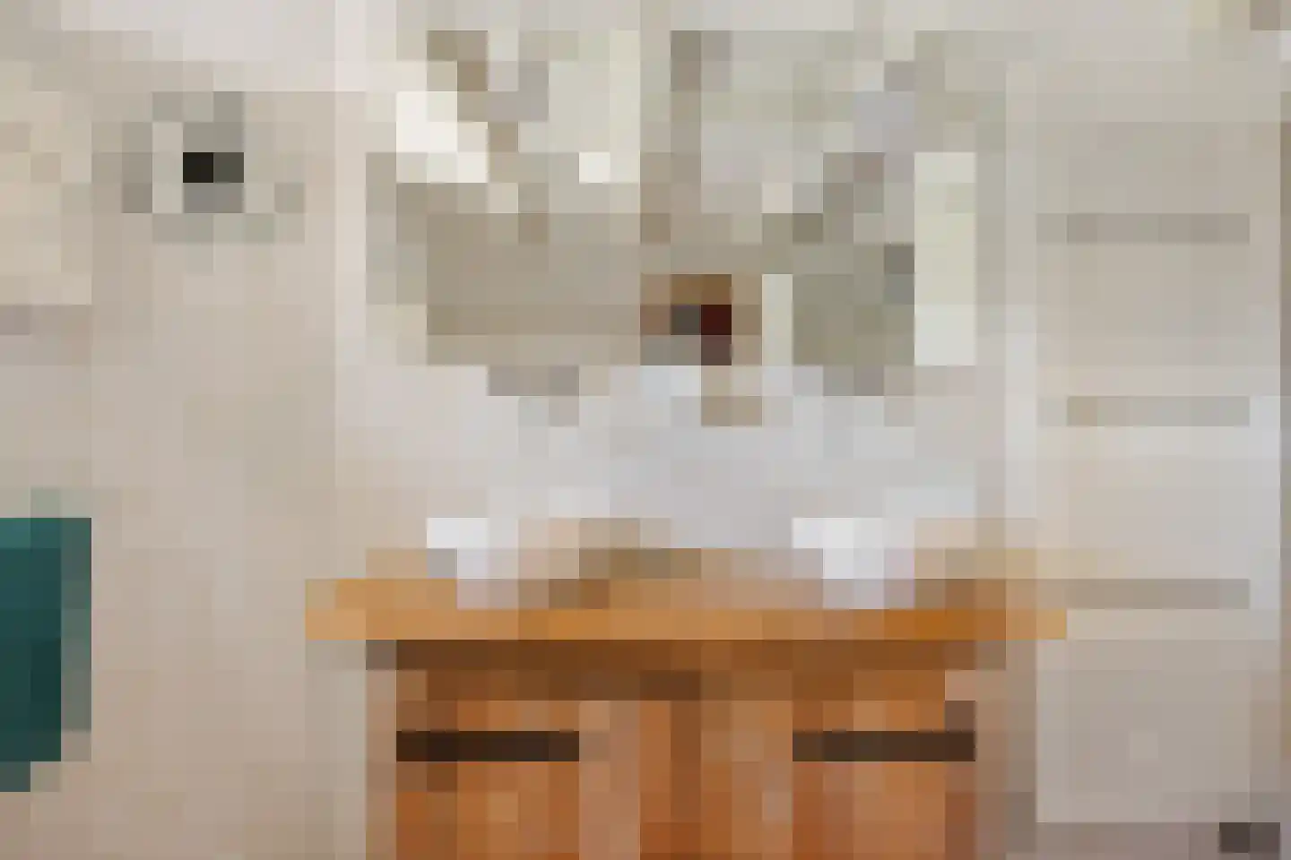 B.L. Tijdensweg 26 Vriescheloo thumbnail 15