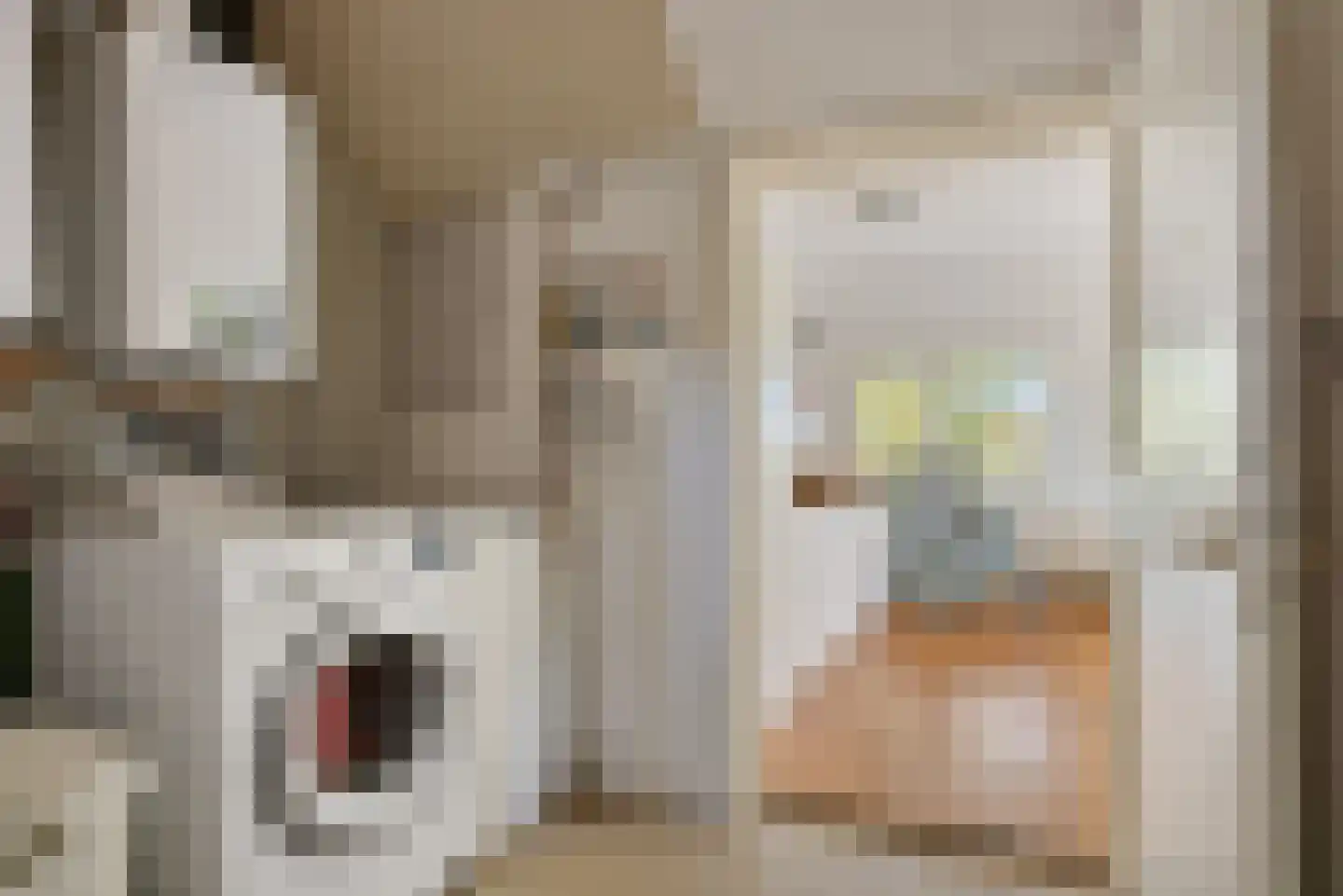 B.L. Tijdensweg 26 Vriescheloo thumbnail 17