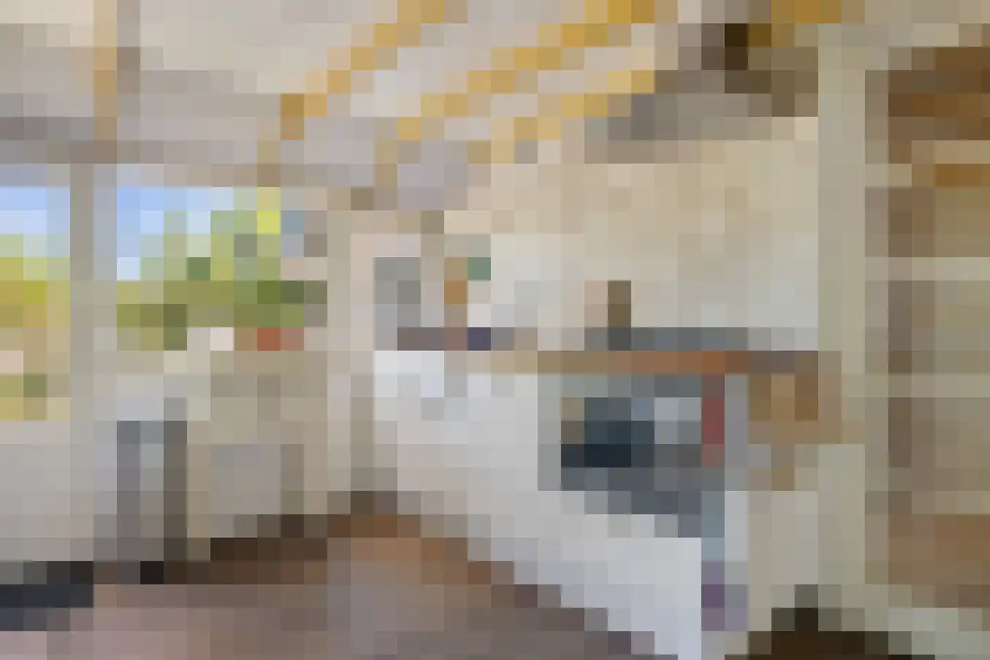 B.L. Tijdensweg 26 Vriescheloo thumbnail 22