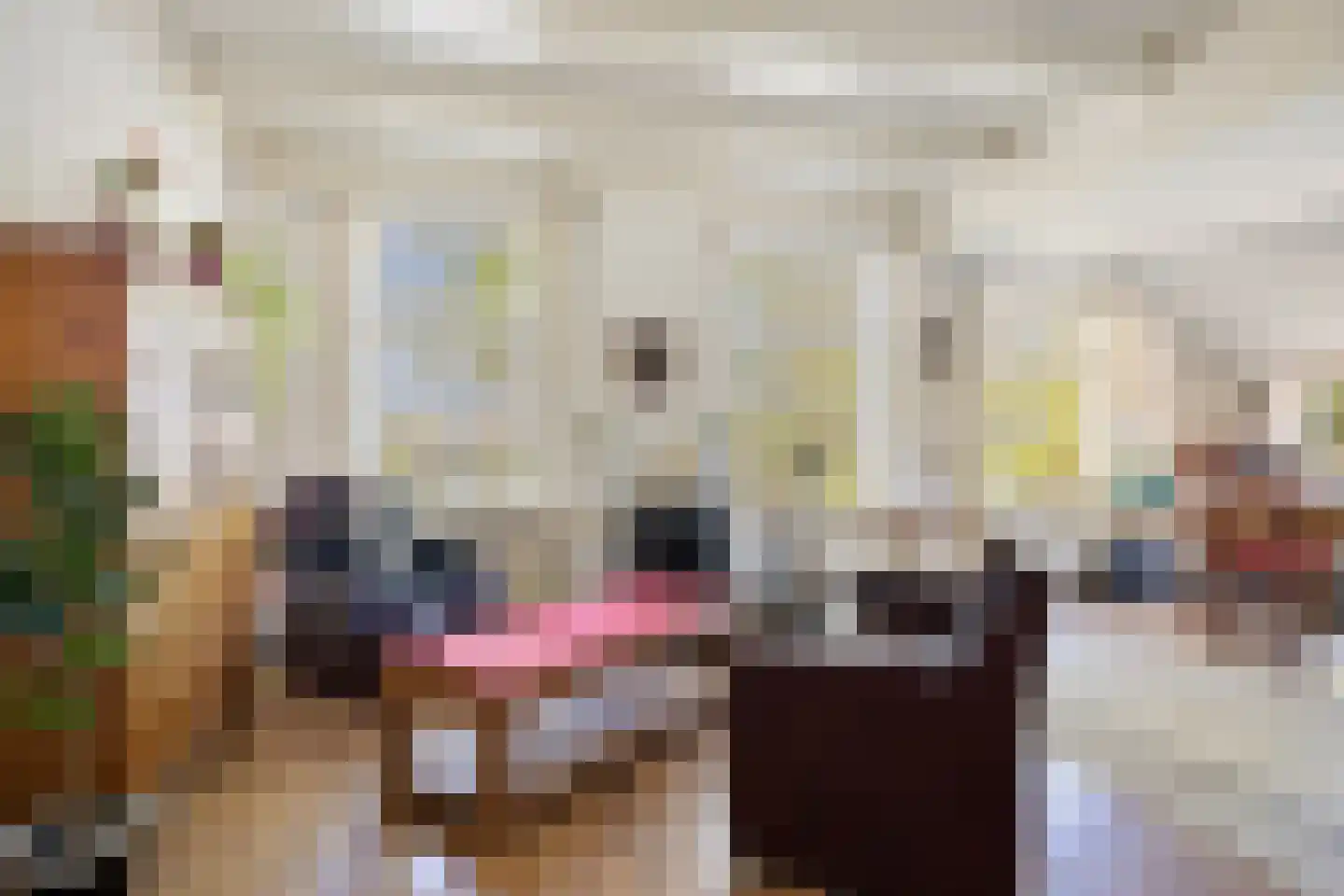 B.L. Tijdensweg 26 Vriescheloo thumbnail 25