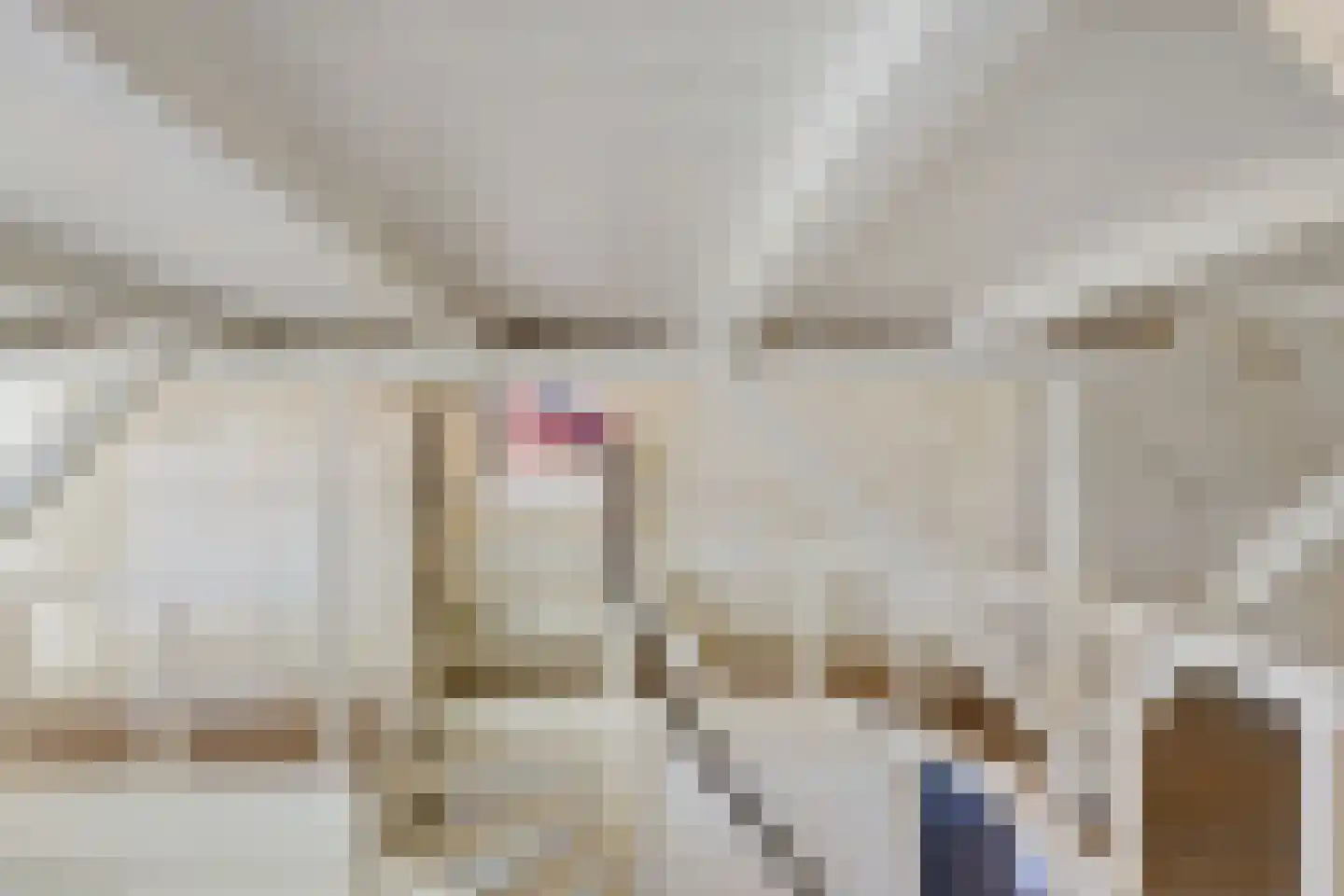 B.L. Tijdensweg 26 Vriescheloo thumbnail 29