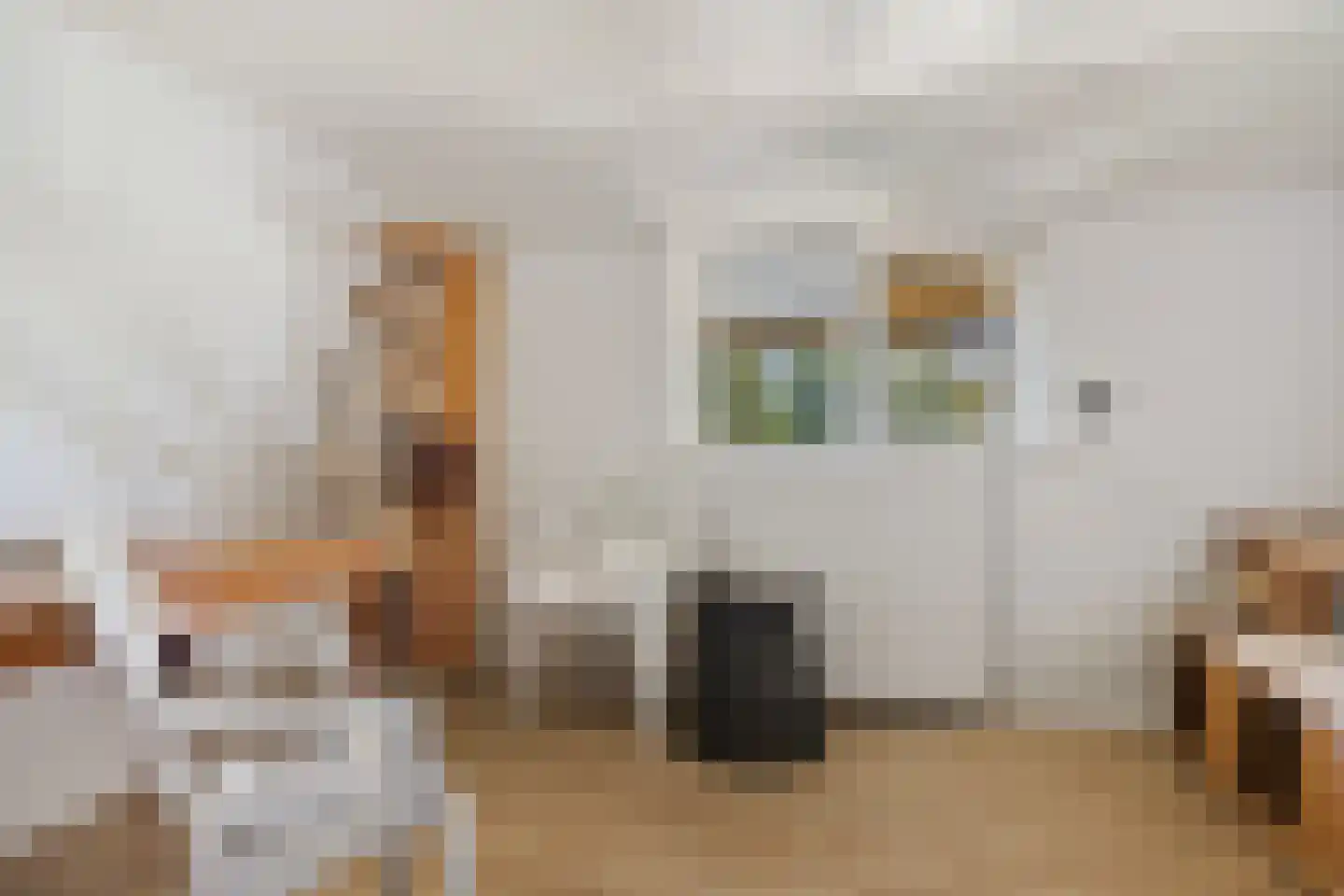 B.L. Tijdensweg 26 Vriescheloo thumbnail 30