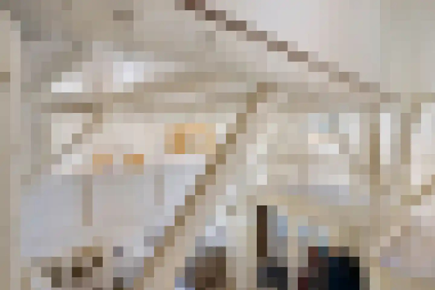B.L. Tijdensweg 26 Vriescheloo thumbnail 31