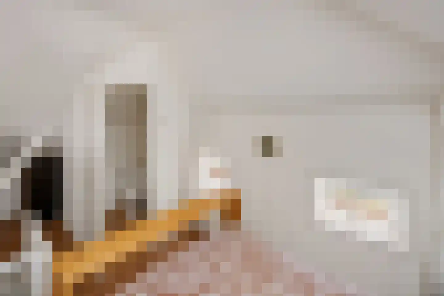 B.L. Tijdensweg 26 Vriescheloo thumbnail 33