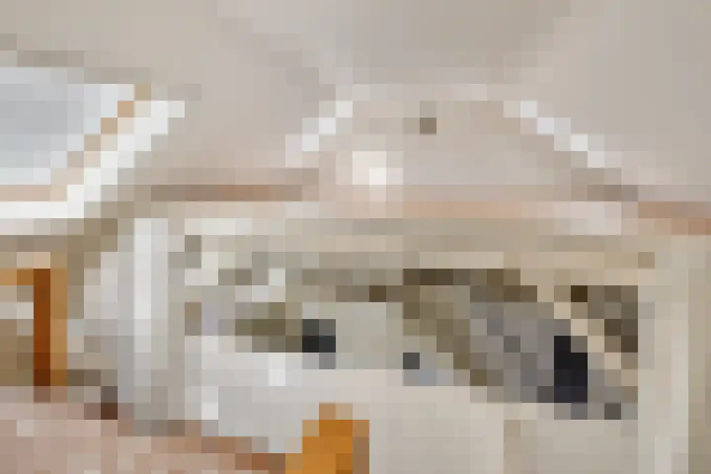 B.L. Tijdensweg 26 Vriescheloo thumbnail 34