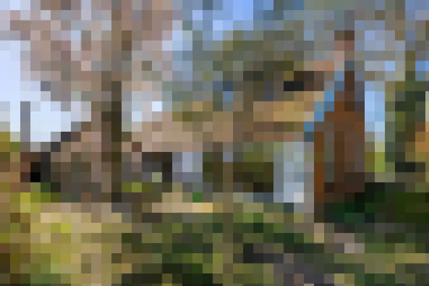 B.L. Tijdensweg 26 Vriescheloo thumbnail 4