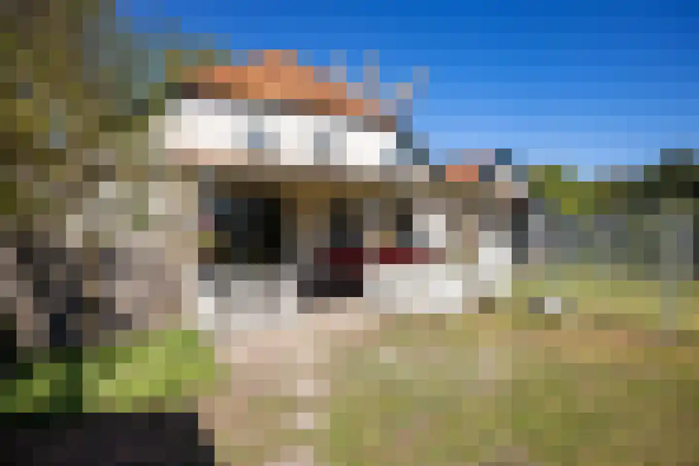 B.L. Tijdensweg 26 Vriescheloo thumbnail 41
