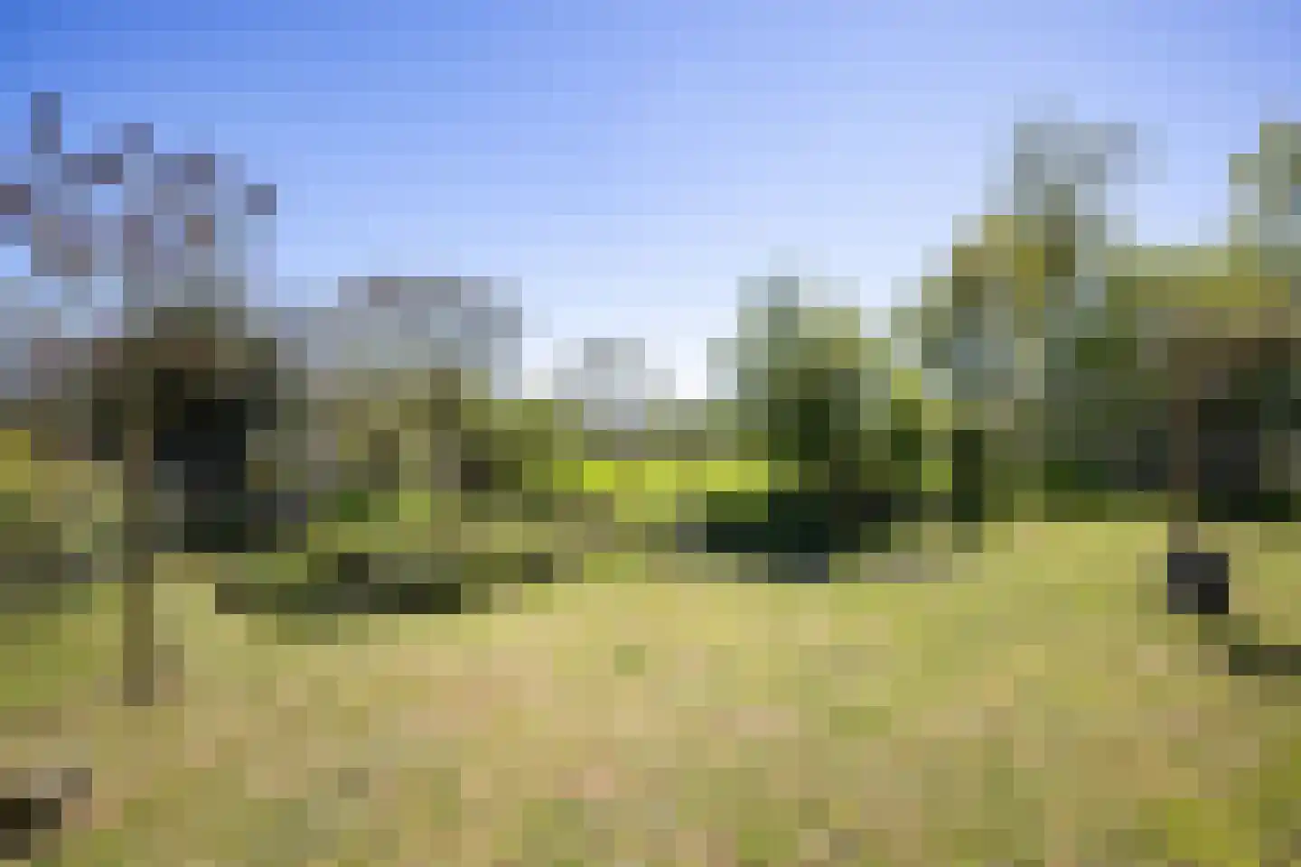 B.L. Tijdensweg 26 Vriescheloo thumbnail 43